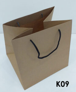 K09 P